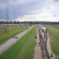 Auschwitz - Birkenau