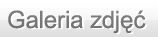 Galeria zdjęć